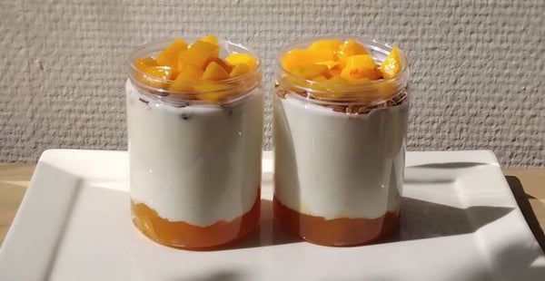 Yaourt Grec Exotic/Mangue