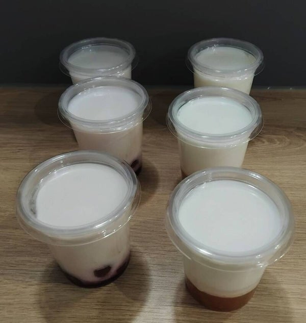Yaourt (lait de vache)
