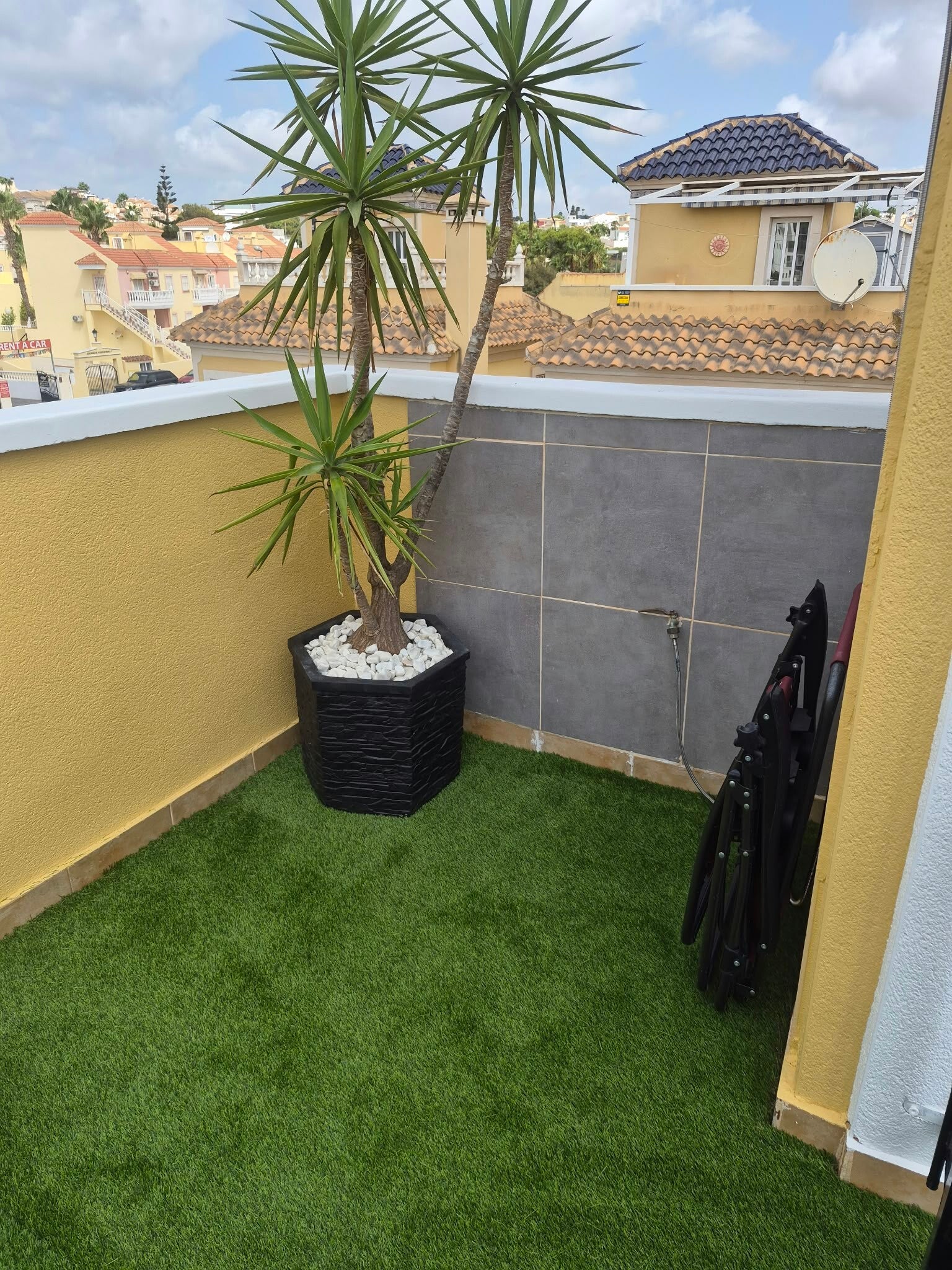 New grass