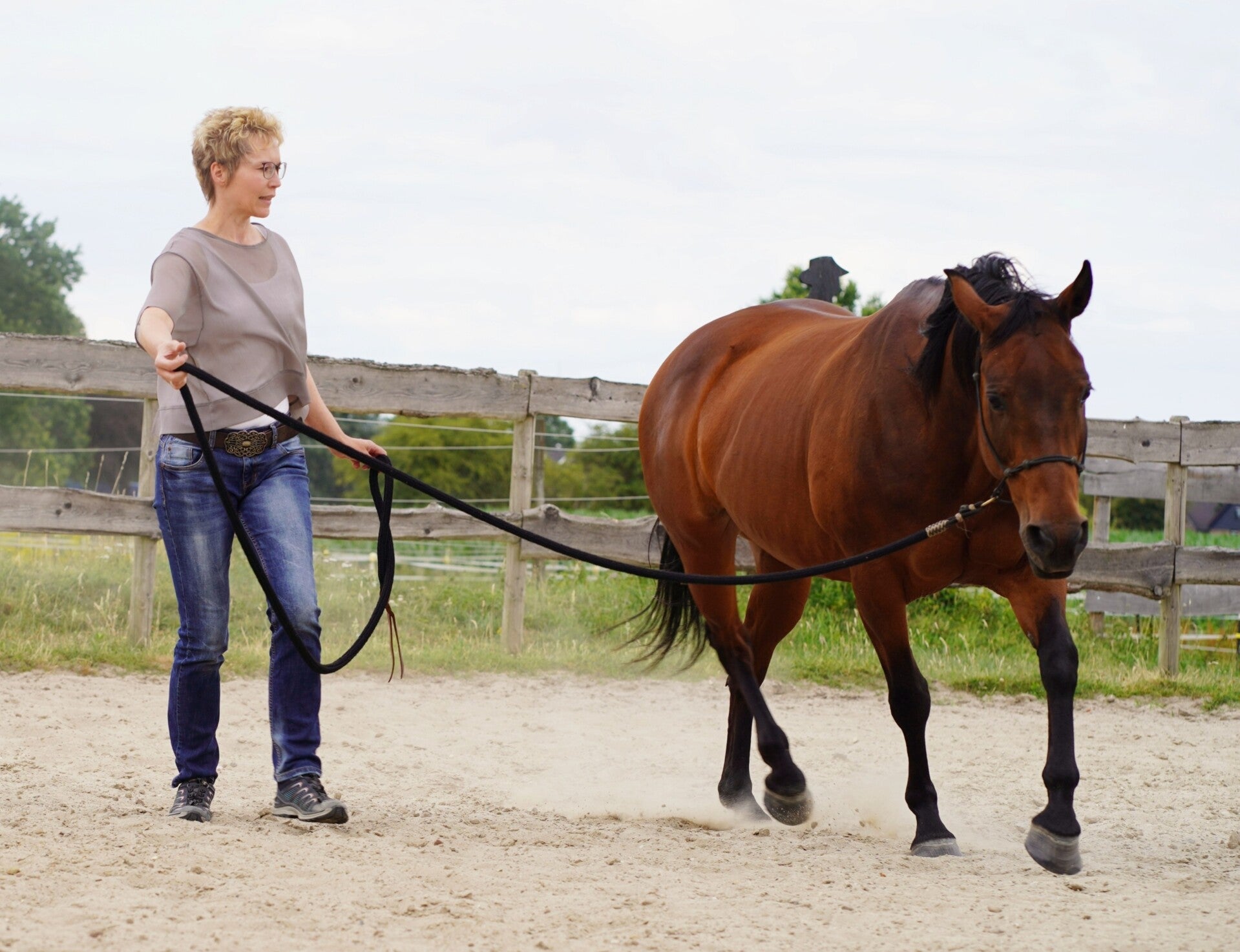 Natural Horsemanship