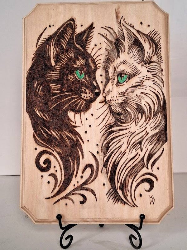 Katzenpaar in Harmonie
