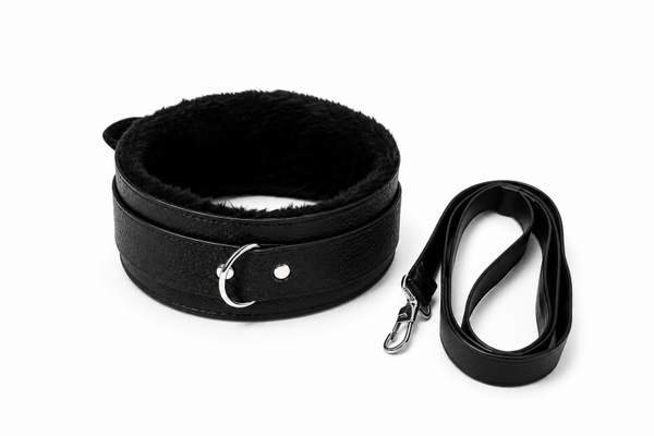 Collier et laisse avec mousqueton noir