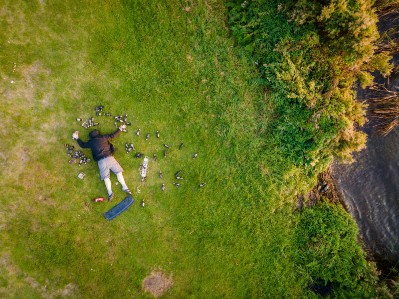 CaptainSober - Golden - - Jari Mulder