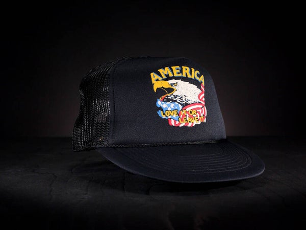 AMERICA LOVE IT OR LEAVE IT