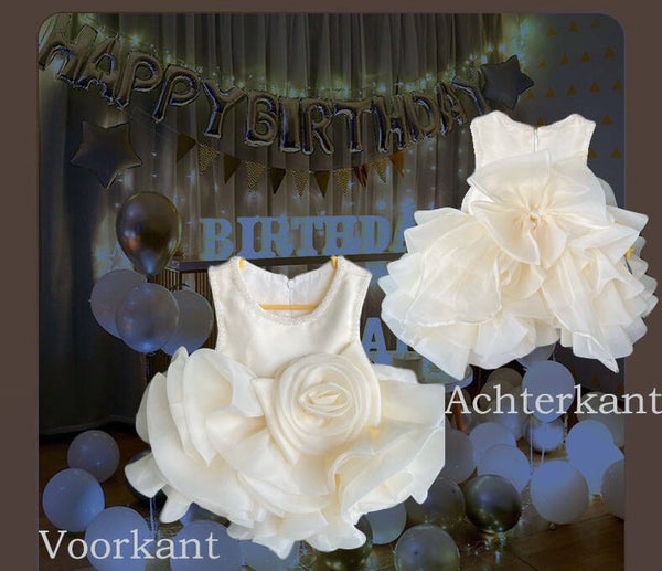 BM022 JURKJE ROSA MET GRATIS PETTICOAT