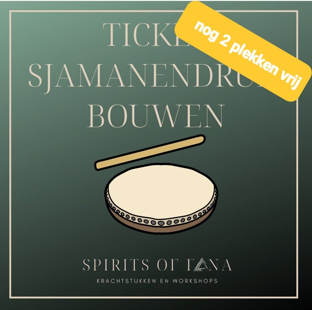 Workshop sjamanendrum bouwen 15 Augustus 2026