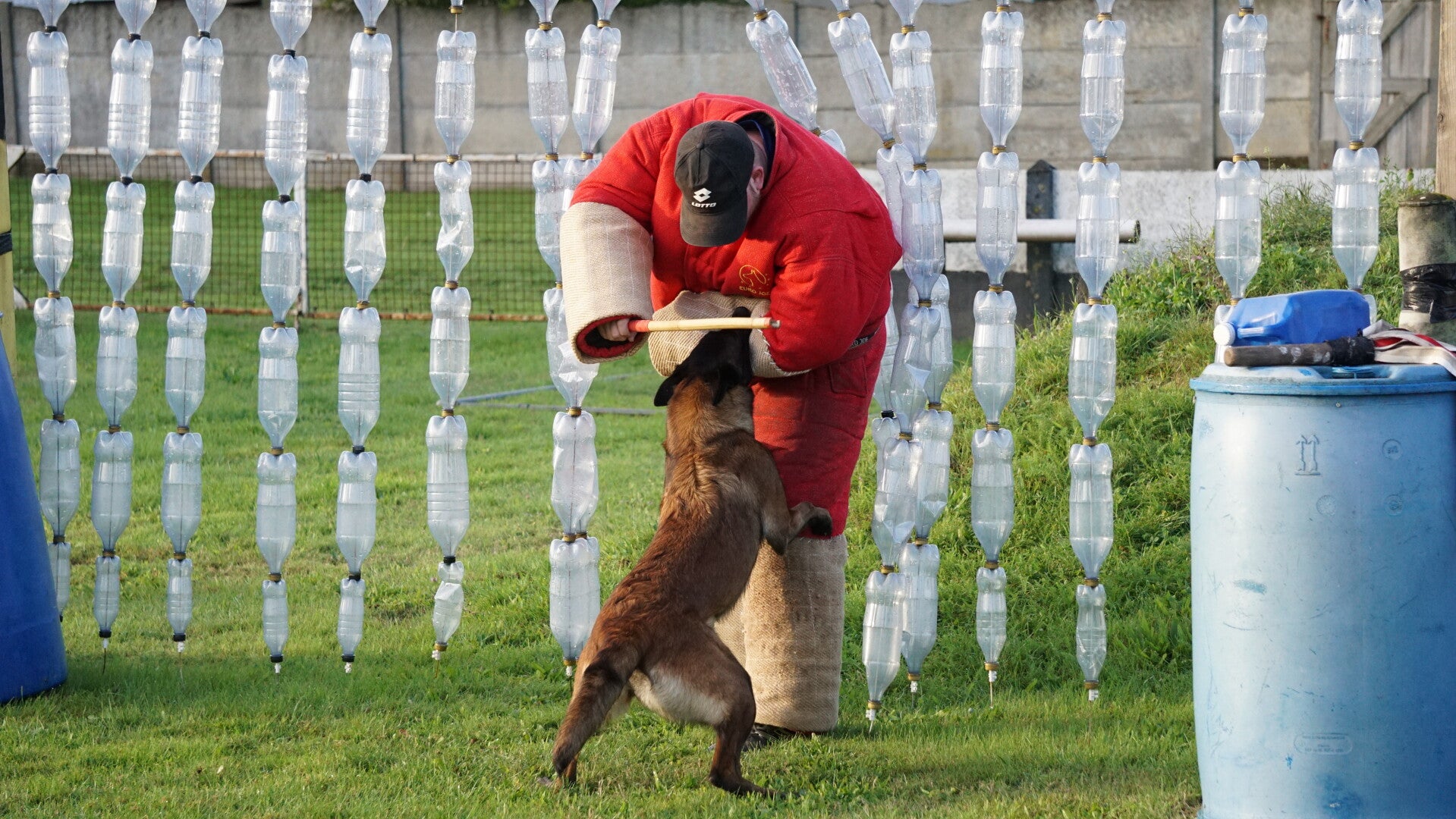 Foto van pakwerker met hond in de ringsport