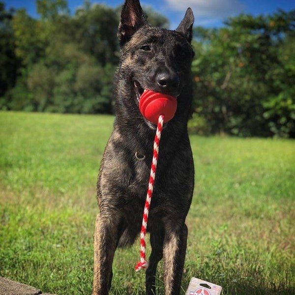 SodaPup USA K9 Stars and Stripes Ultra Durable Reward Toy