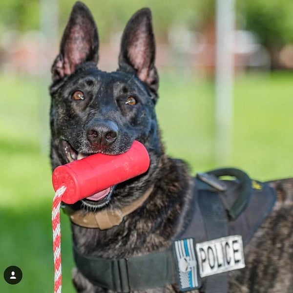USA-K9 FIRECRACKER DUURZAAM RUBBER FLOATING TRAINING DUMMY - GROOT - ROOD
