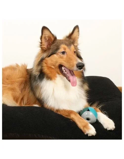 D&D Luca Lagoon - Hondenspeelgoed - Ø8 cm