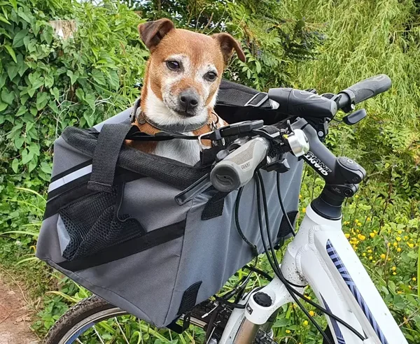 Henry Wag Pet Fietstas Fietsstoeltje