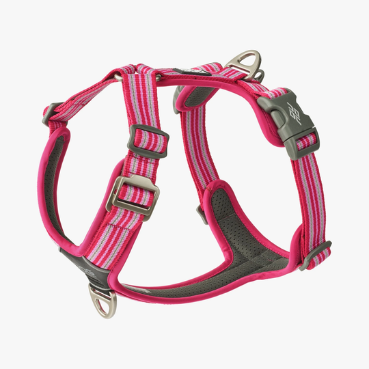 Dog Copenhagen Comfort Walk Air roos