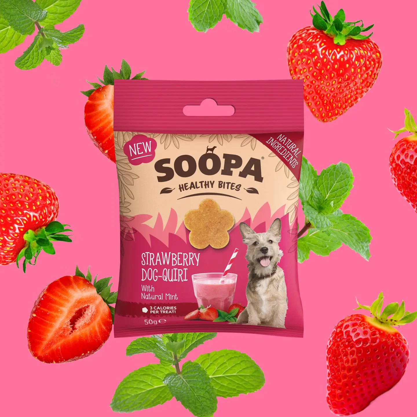 SOOPA Healthy bites Aardbei Dog-Quiri