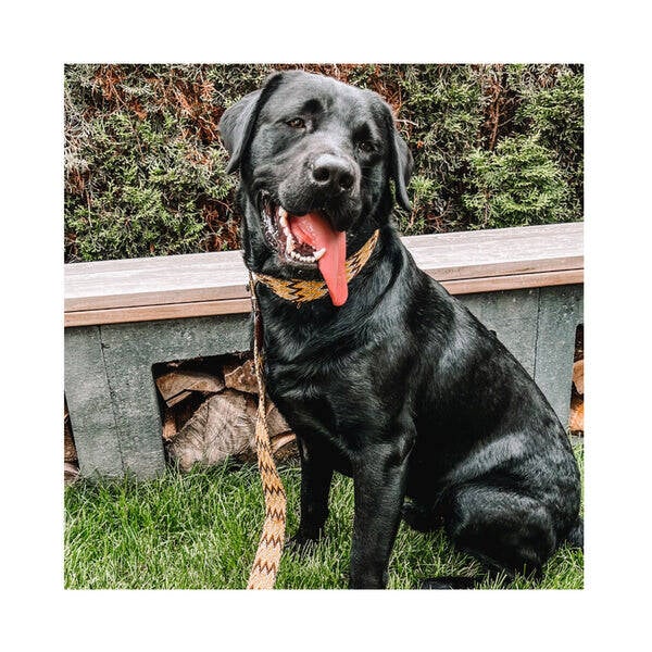 Peruvian Gold 2 Meter Verstelbare Leiband