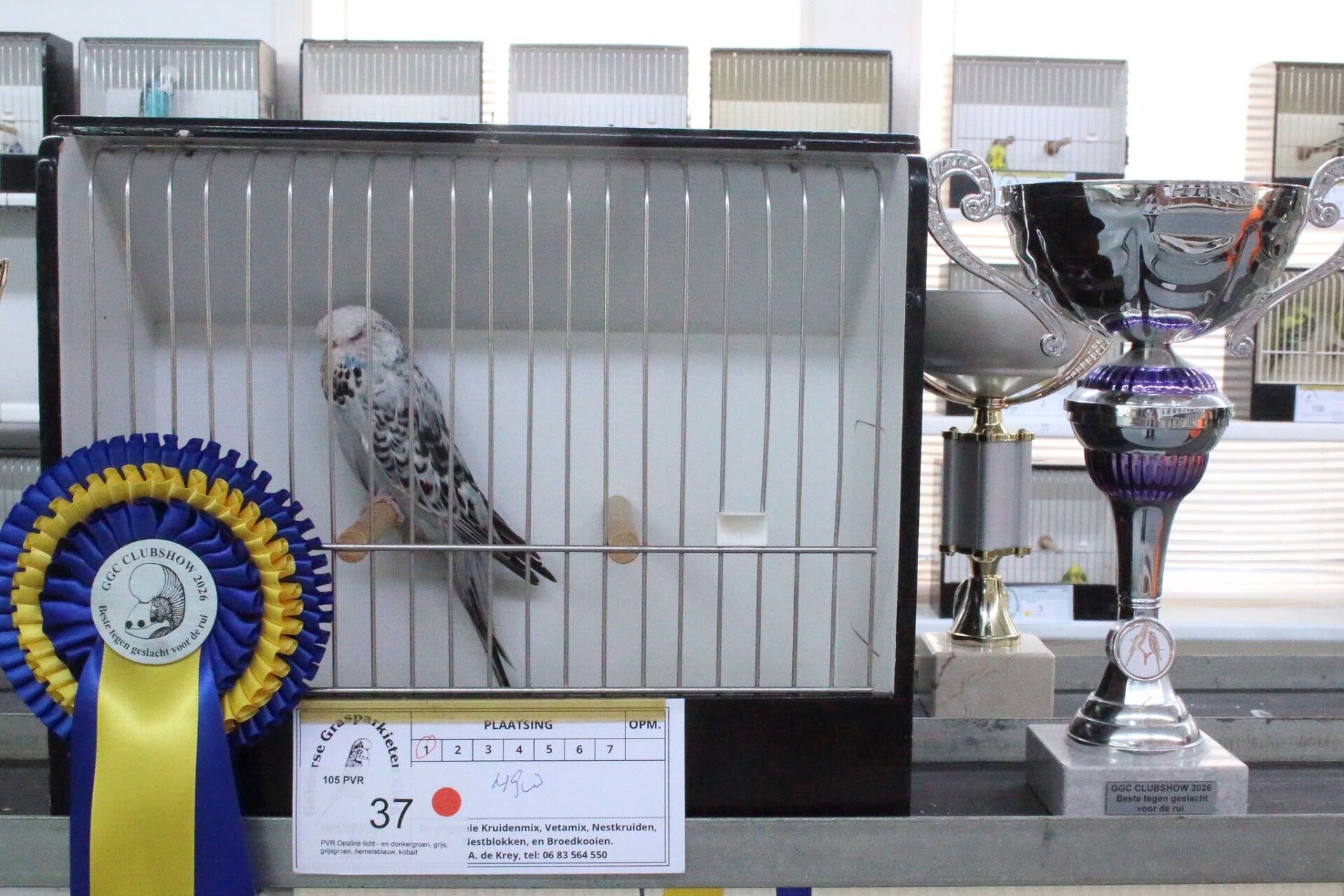 img-20260602-wa0003-standard.jpg