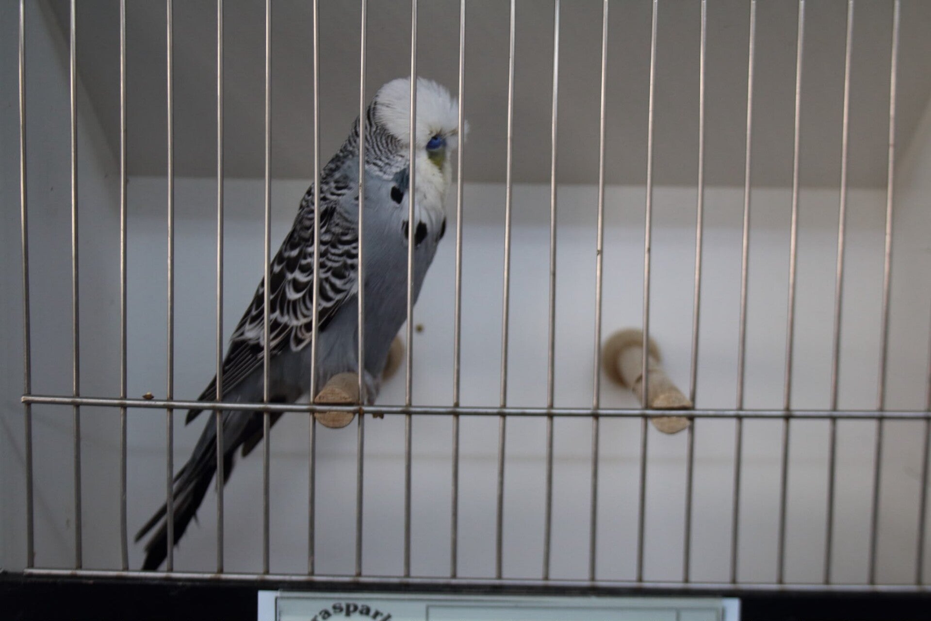 img-20260603-wa0006-standard.jpg