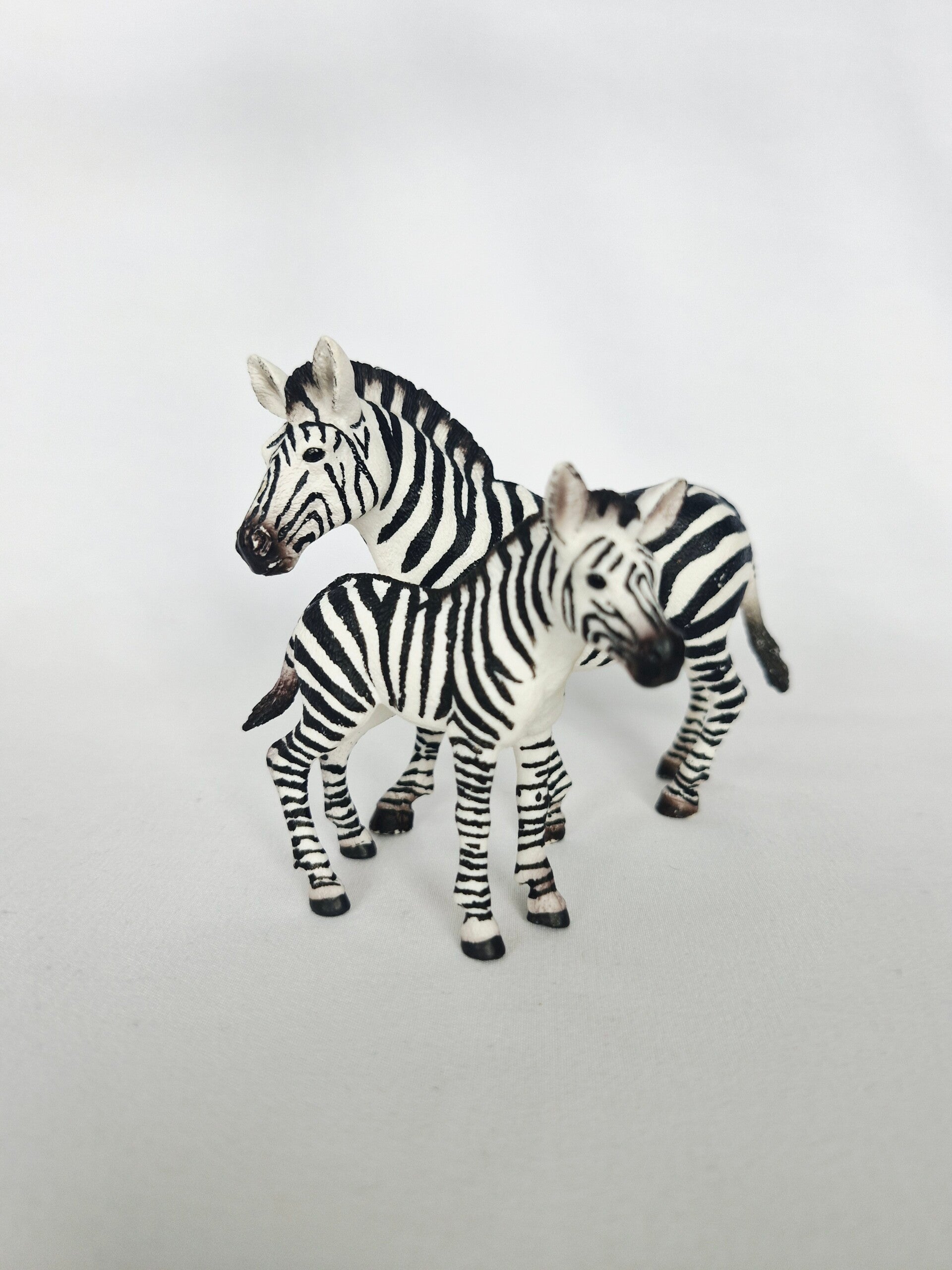 Schleich Set "Zebra + Fohlen"
