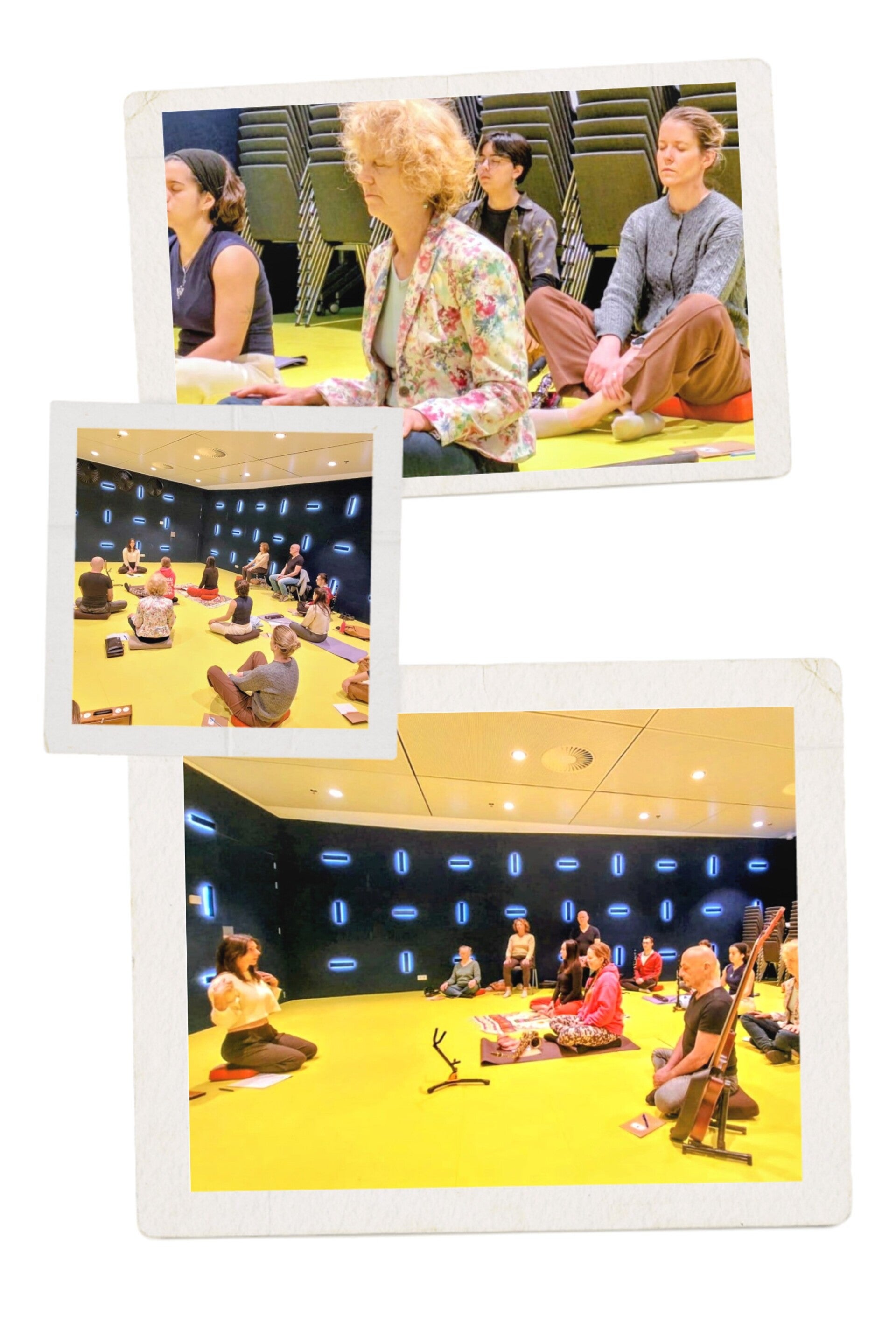 20260308_094608-collage-standard.jpg
