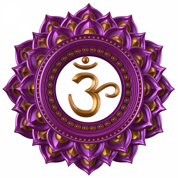 Formation en ligne sur les 7 chakras principaux (Français)