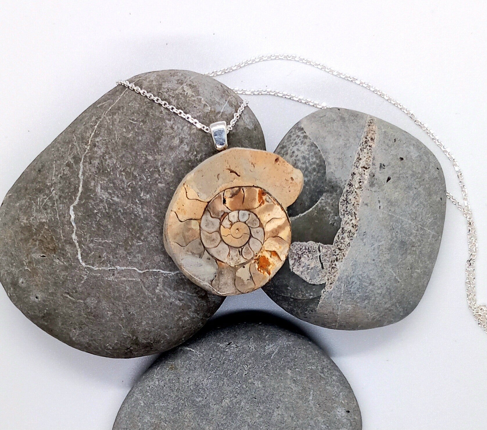 Dorset Ammonite Pendant