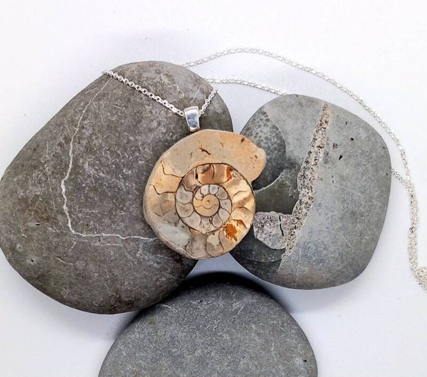Dorset Ammonite Pendant