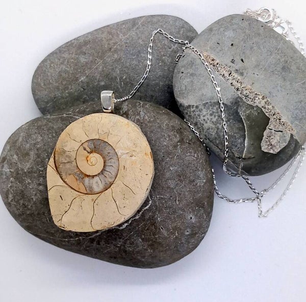 Ammonite Pendant