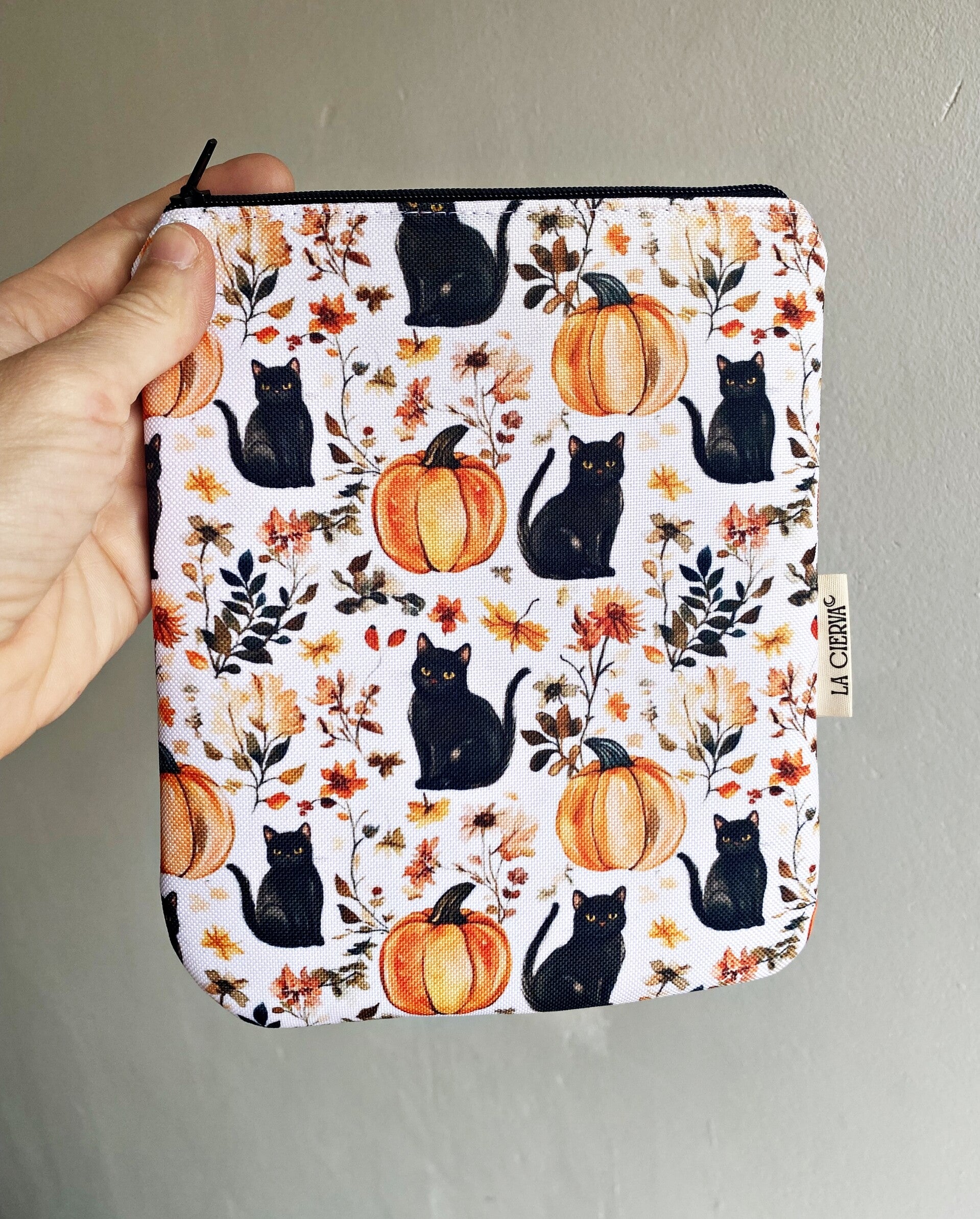 SPOOKY CAT (EREADER)