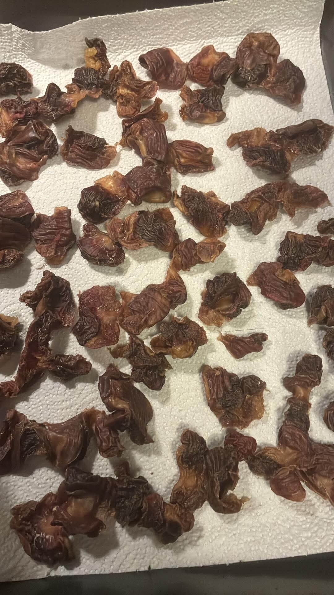 Dehydrated Chicken Gizzards