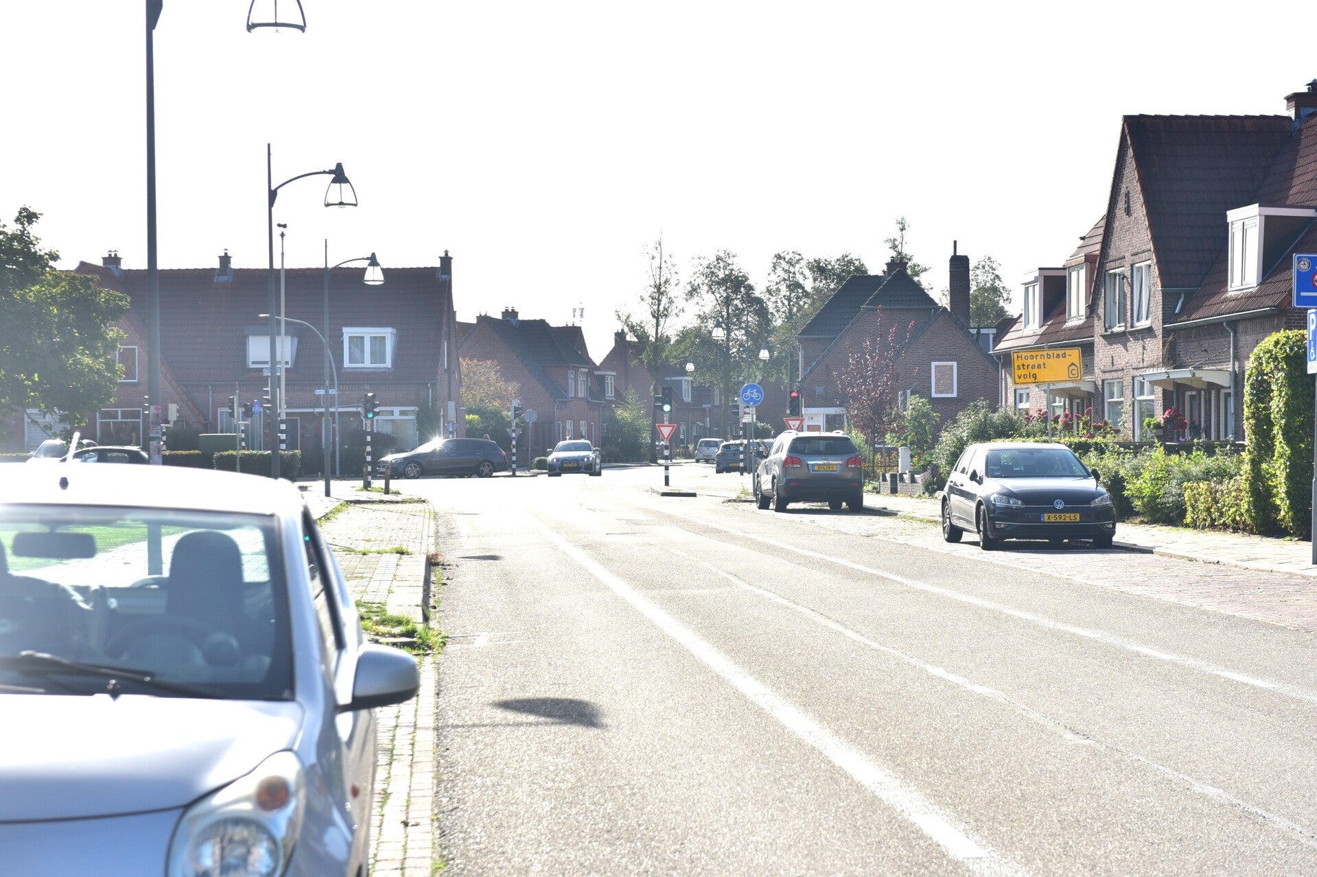 jwc_2467-standard-oqjrqd.jpg