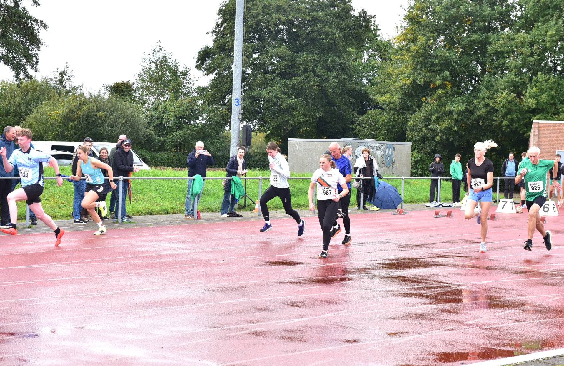 jwc_2795-standard-ara3dh.jpg