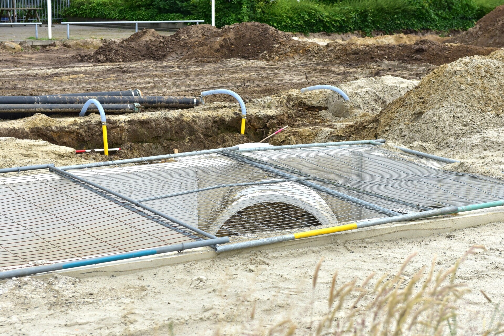 jwc_3533-standard-kpvzgr.jpg