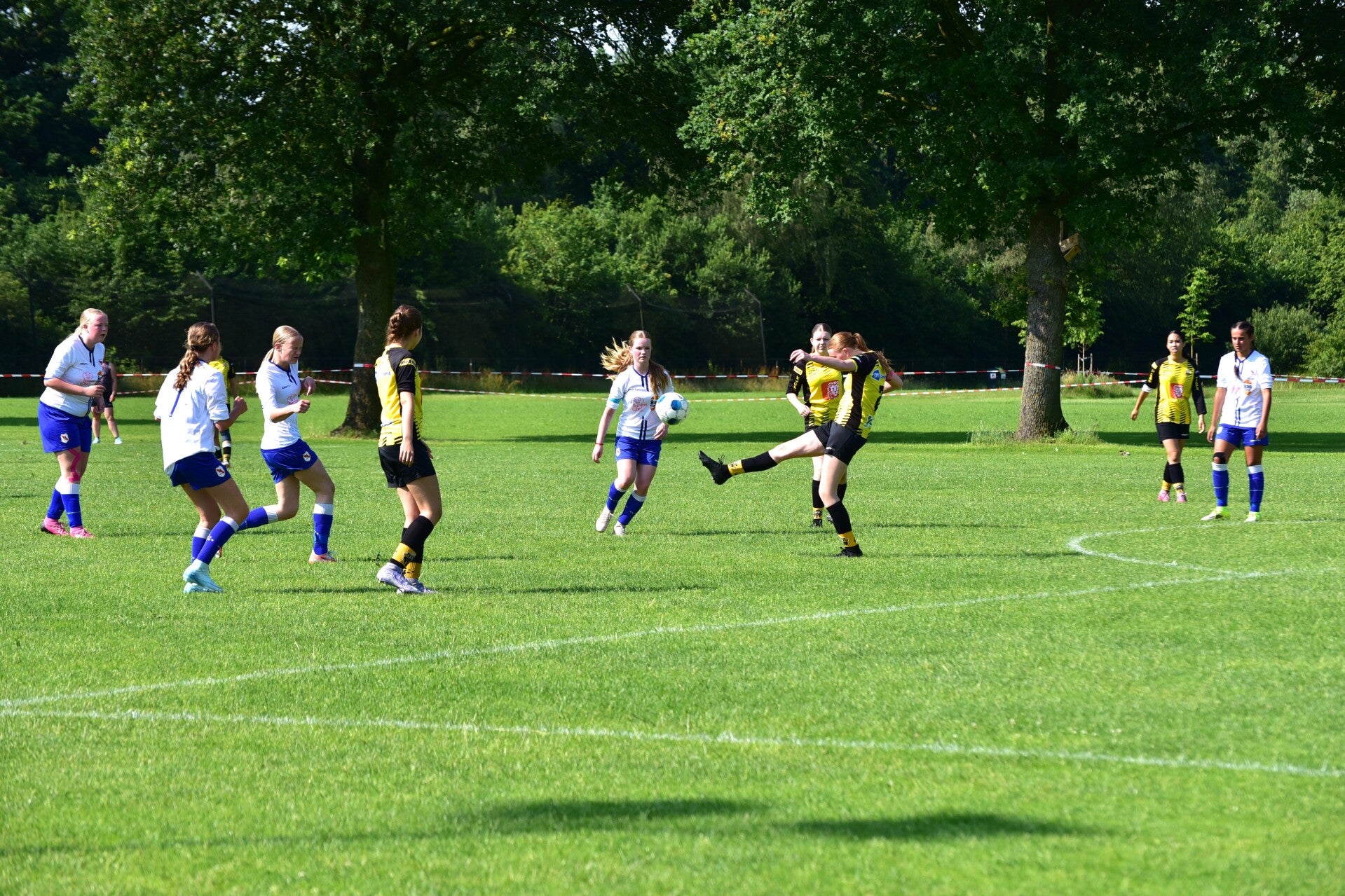 jwc_3764-standard-v23v2q.jpg