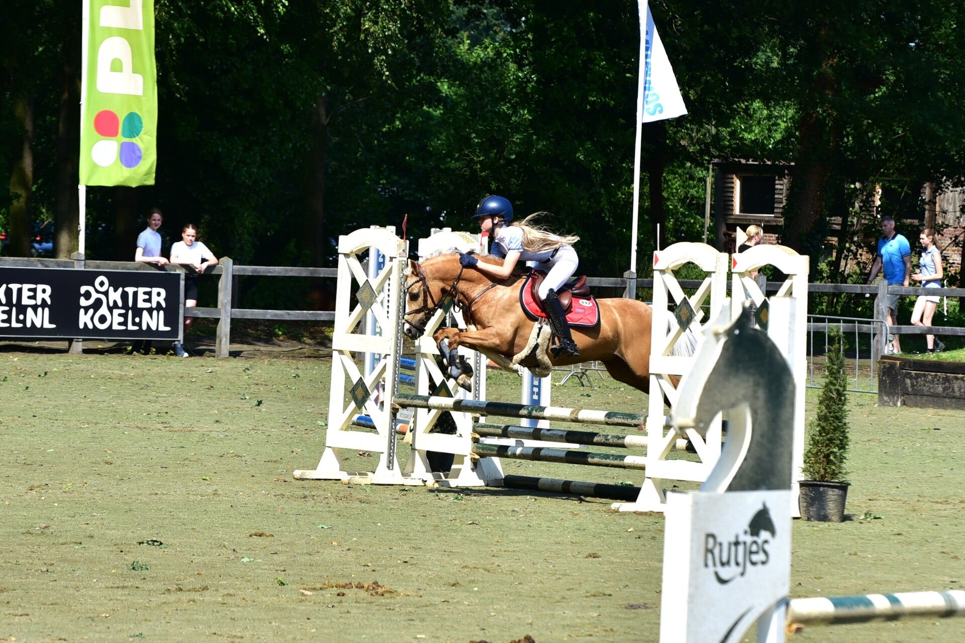 jwc_3798-standard-kls377.jpg