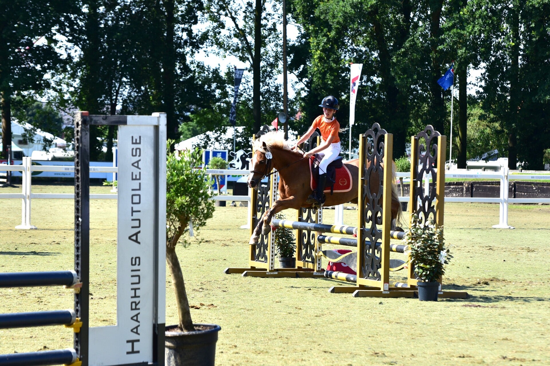 jwc_3819-standard-y0by7o.jpg