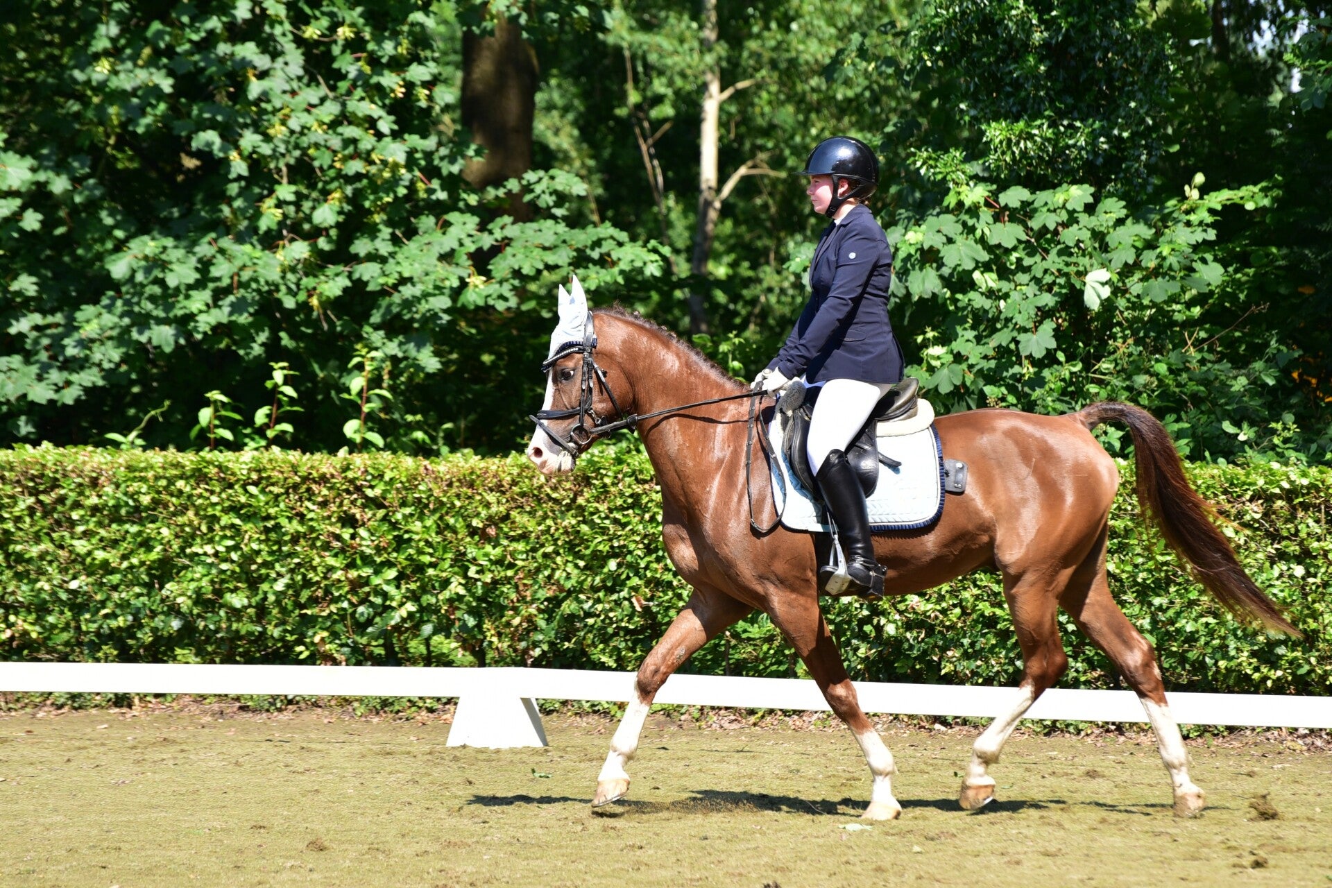 jwc_3830-standard-0e63sh.jpg
