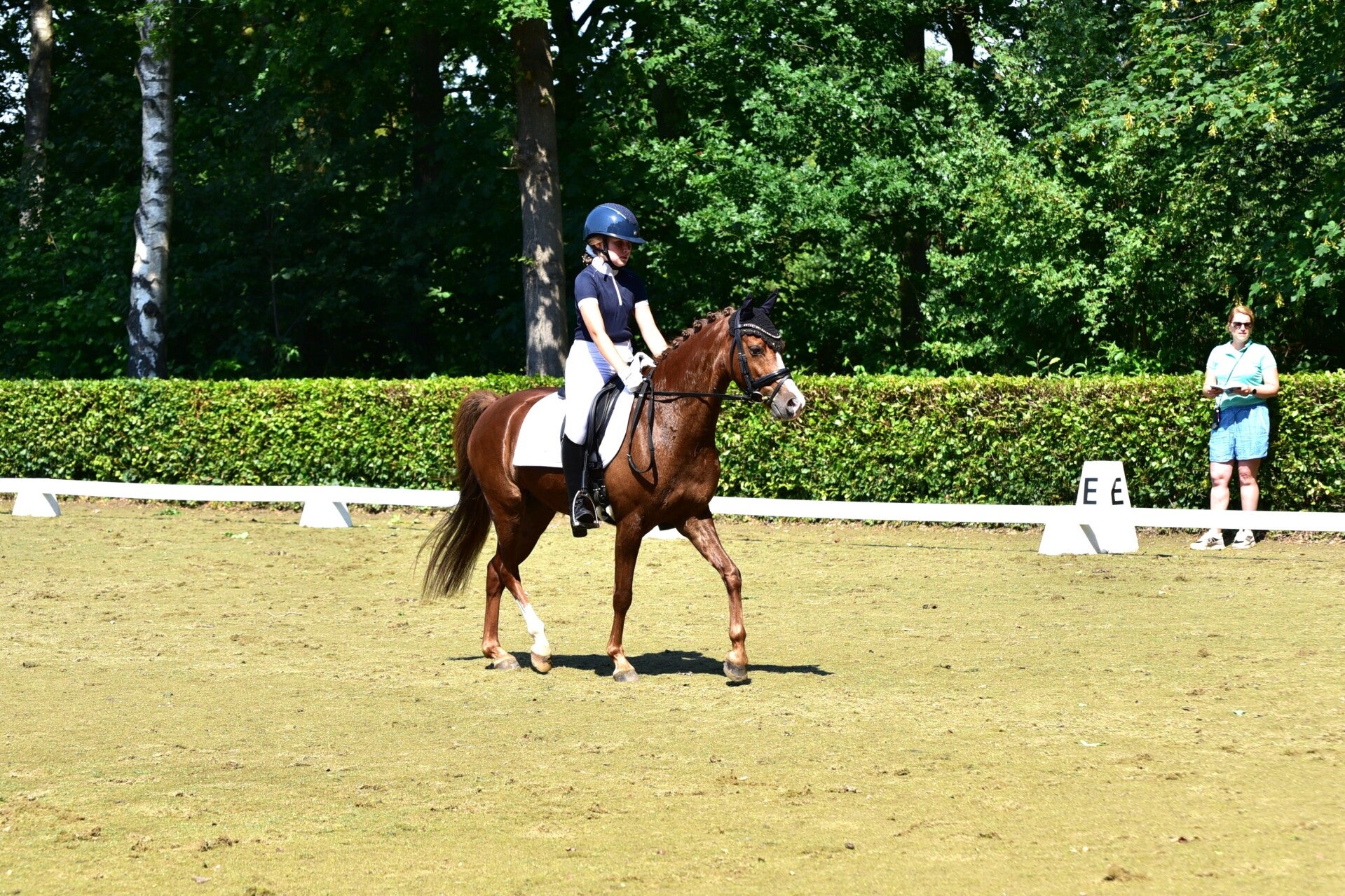 jwc_3835-standard-wf6ljc.jpg