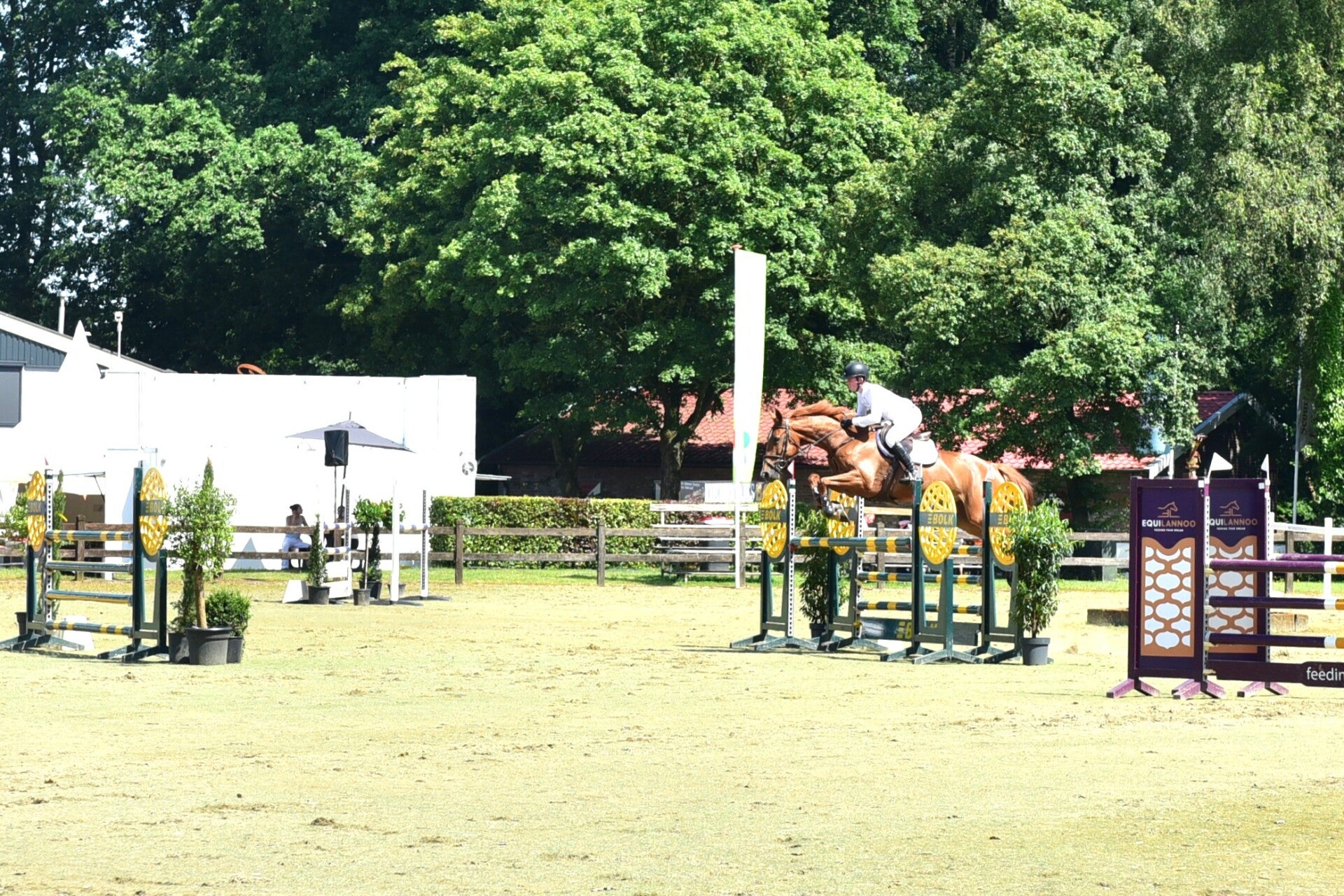 jwc_4263-standard-whc1e9.jpg