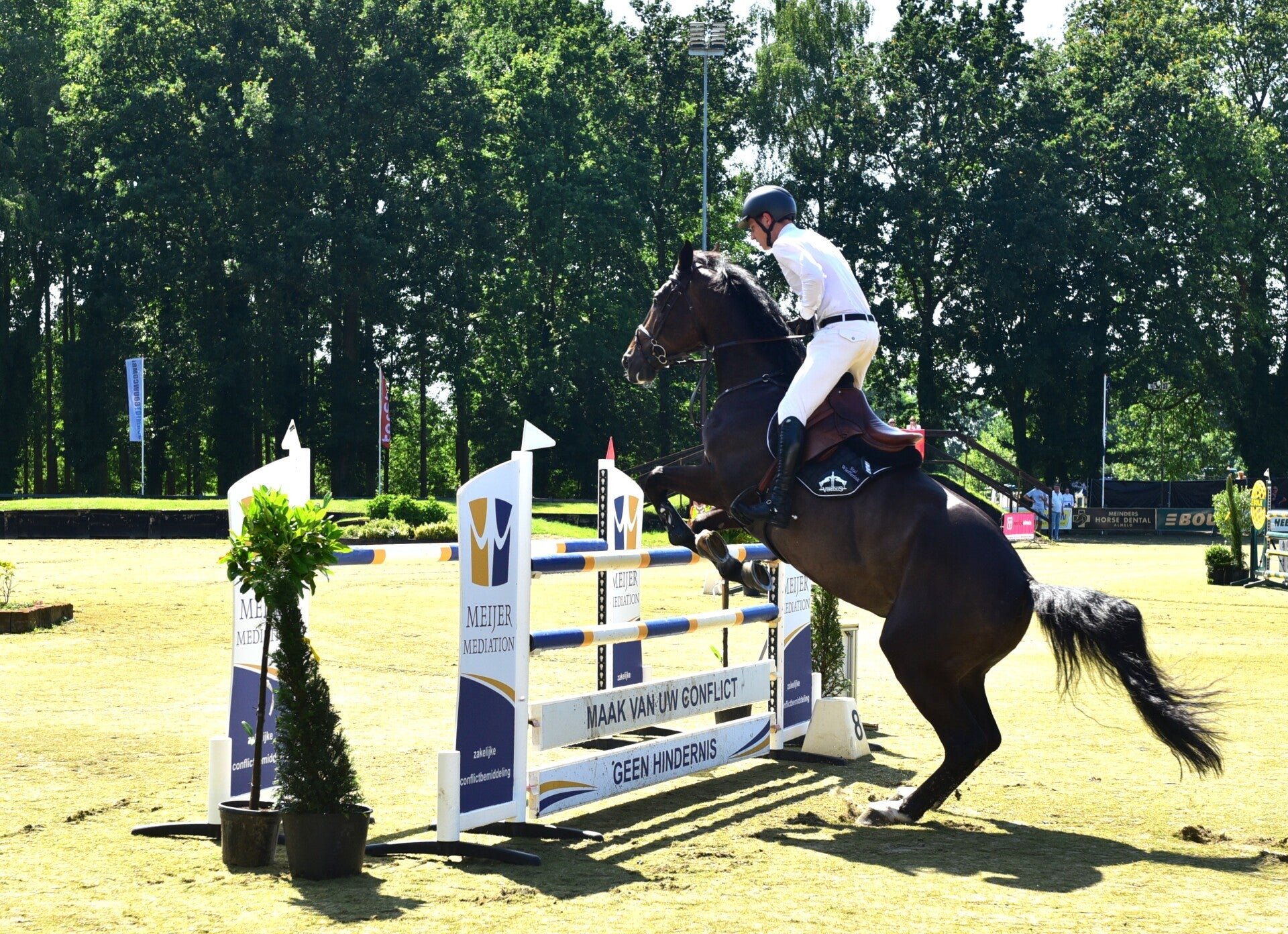 jwc_4275-standard-rrblko.jpg