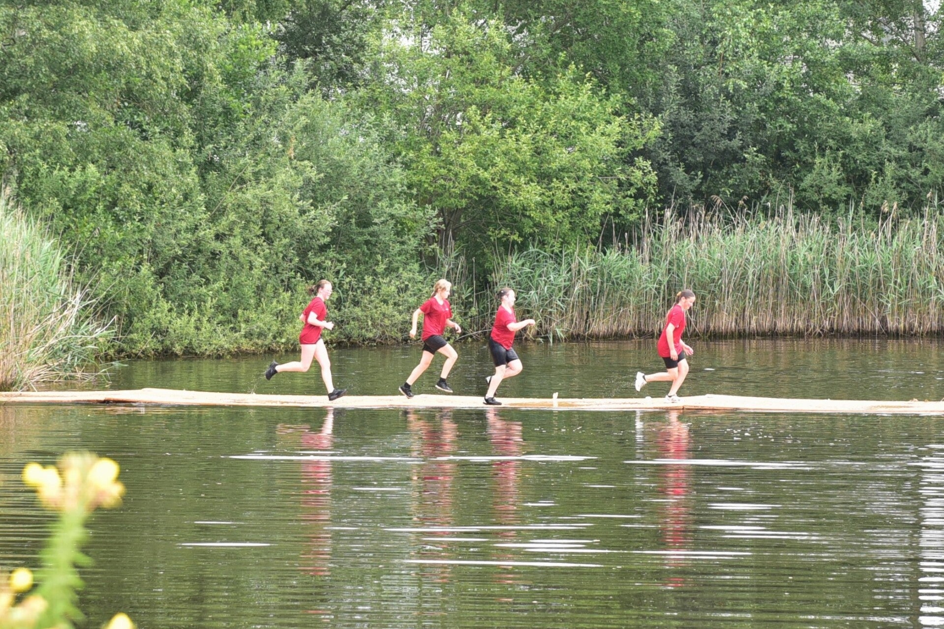 jwc_4781-standard-ptnbep.jpg