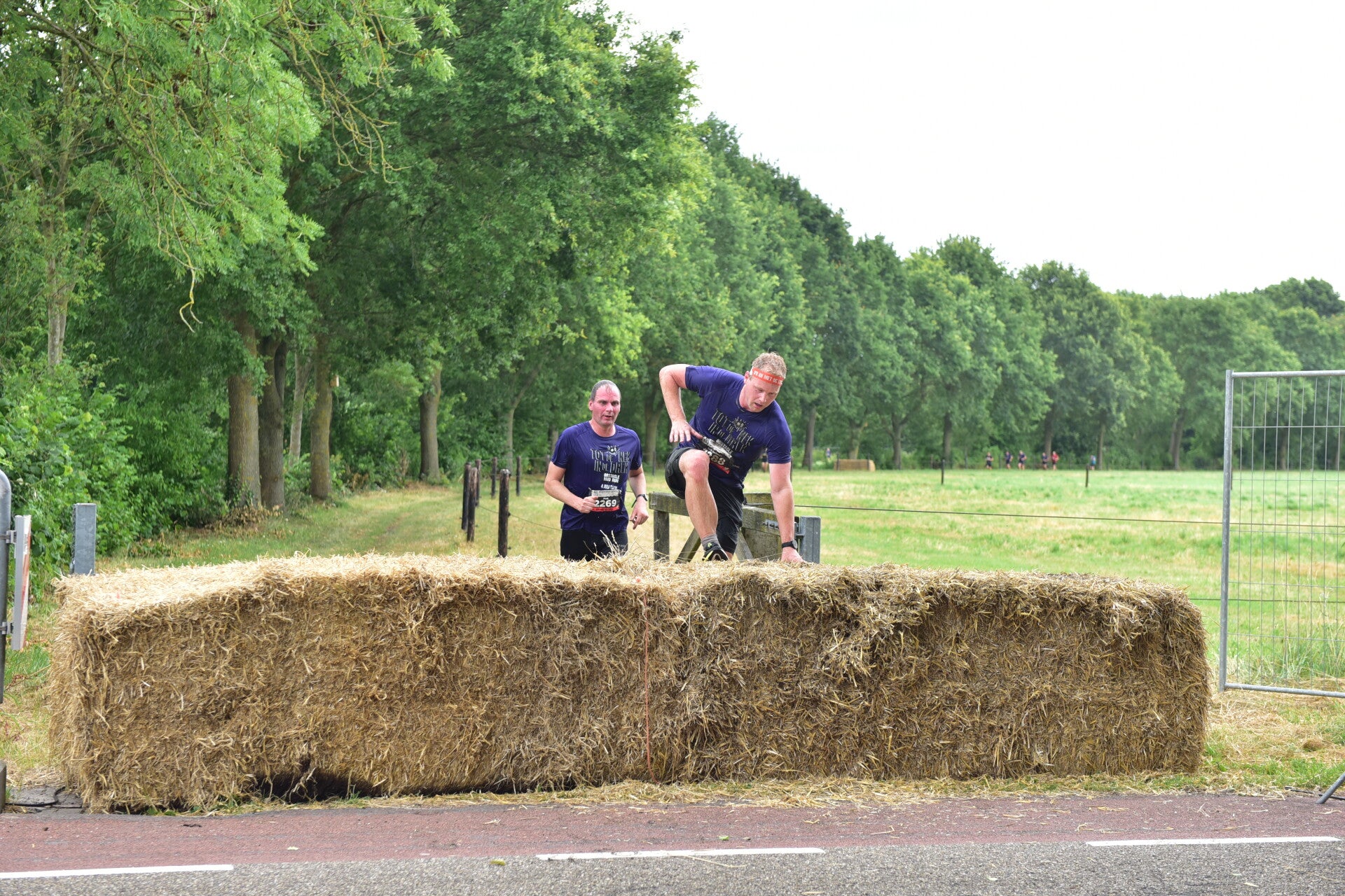 jwc_5271-standard-d5y6og.jpg