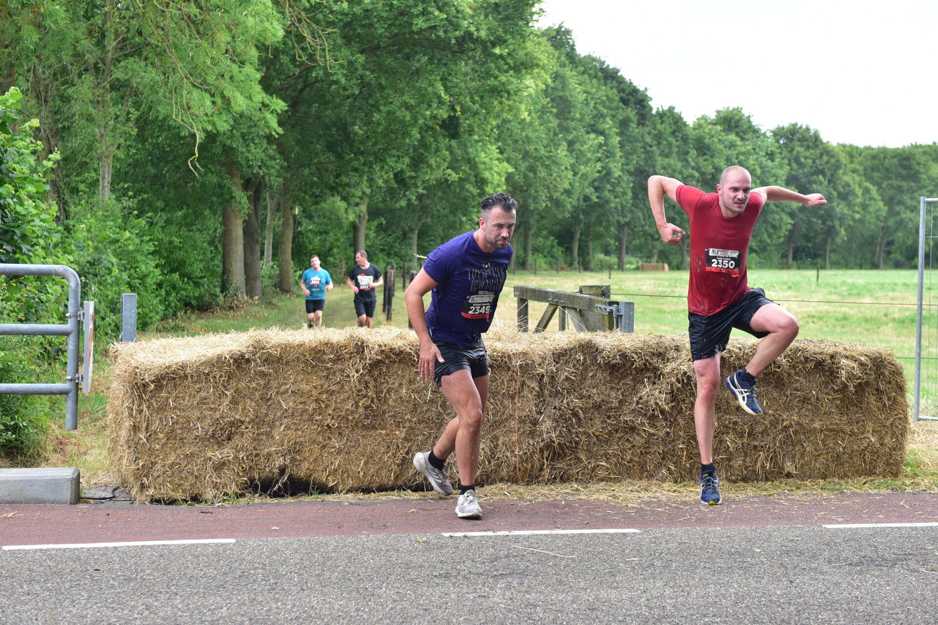 jwc_5296-standard-4h19n8.jpg