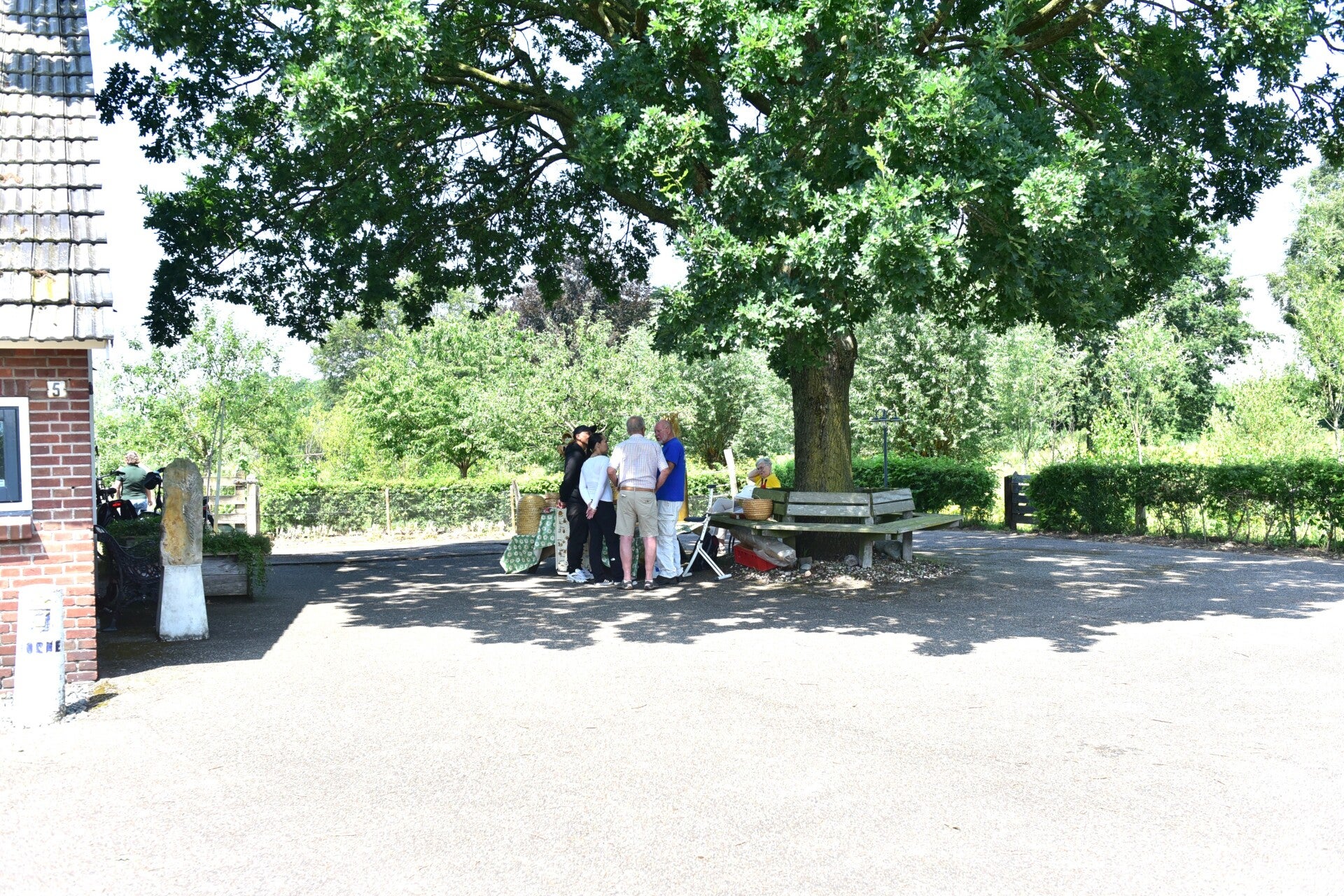 jwc_5411-standard-6qsne9.jpg