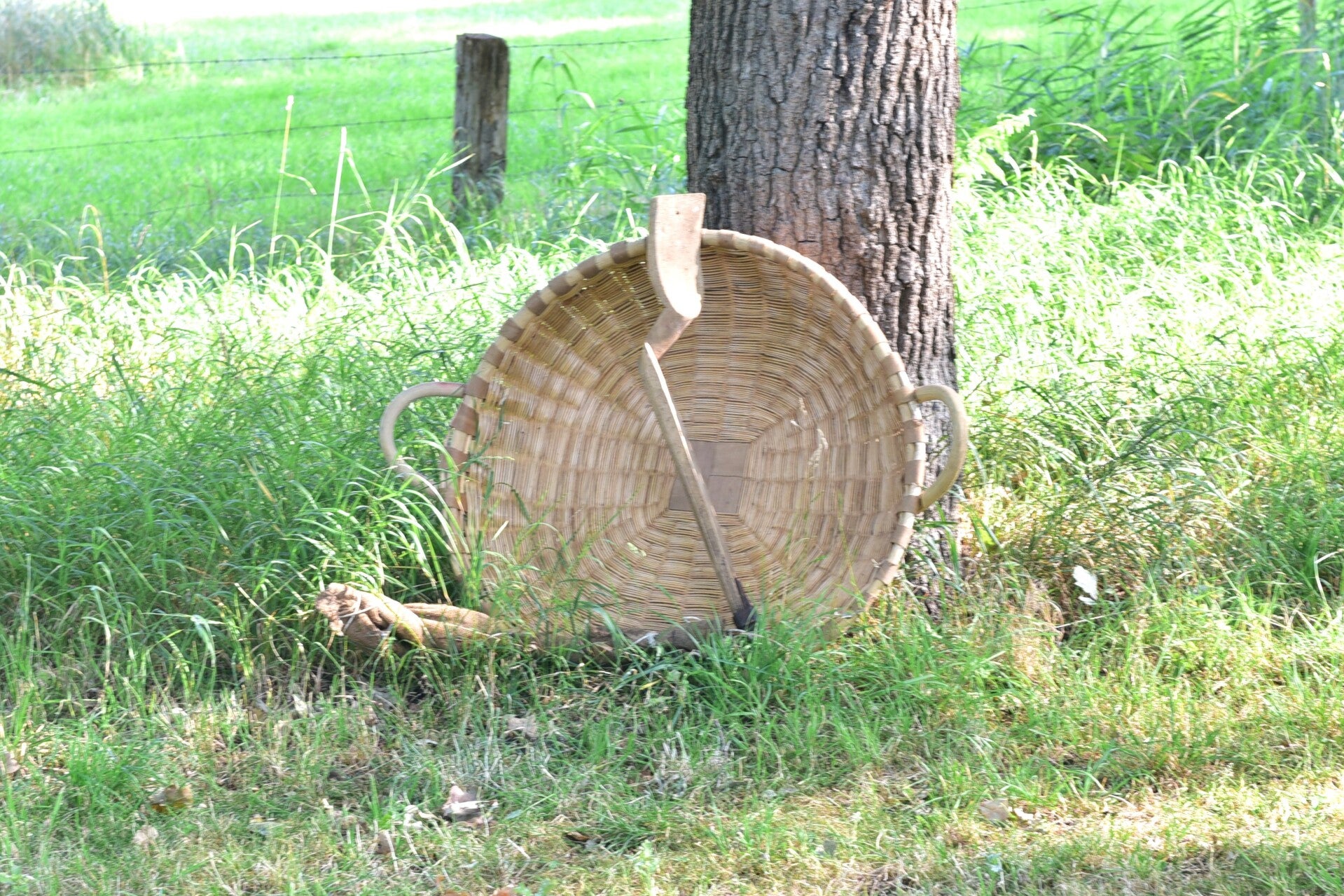 jwc_6174-standard.jpg