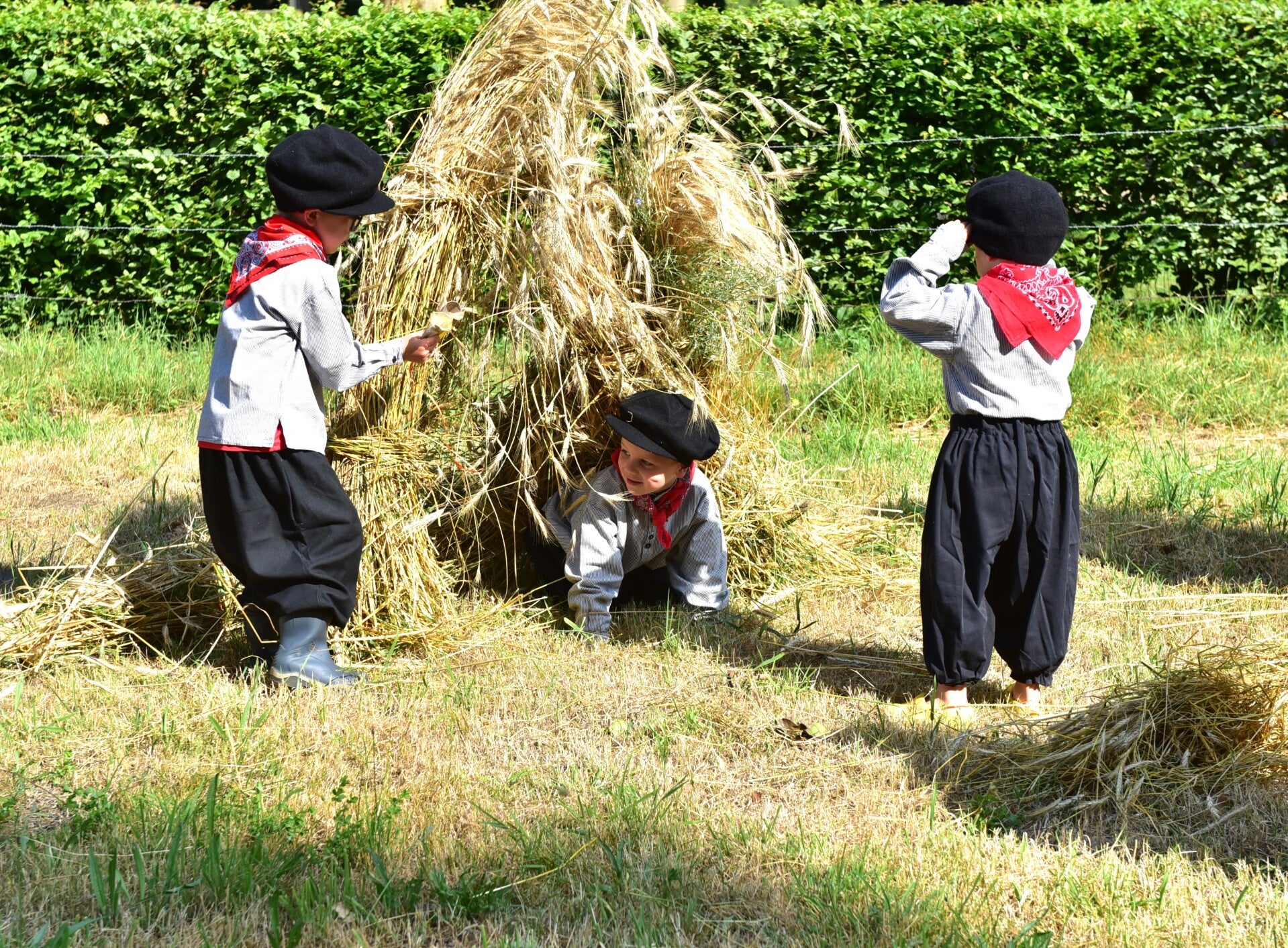 jwc_6247-standard-mkjemg.jpg