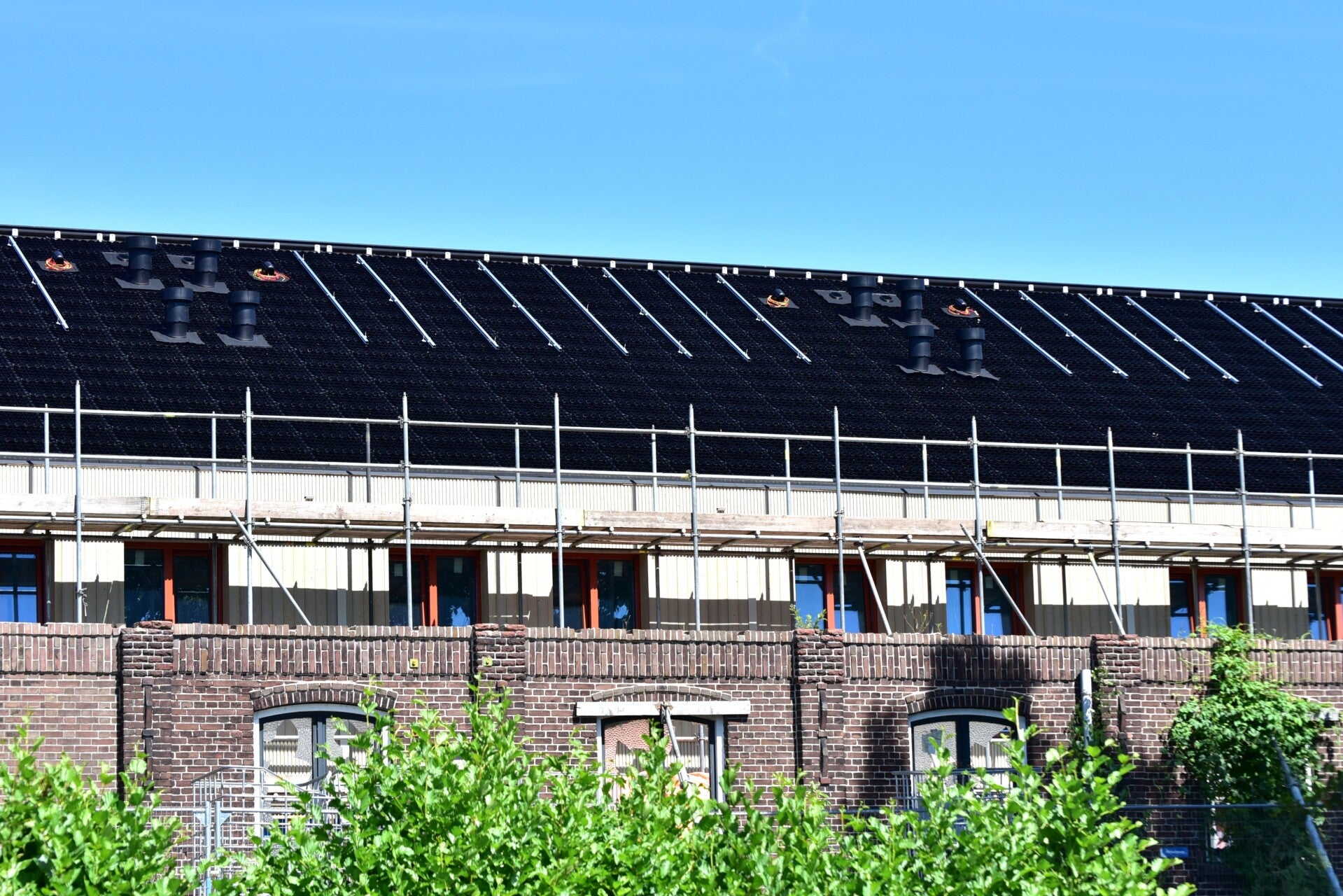 jwc_6947-standard-7sf3uo.jpg