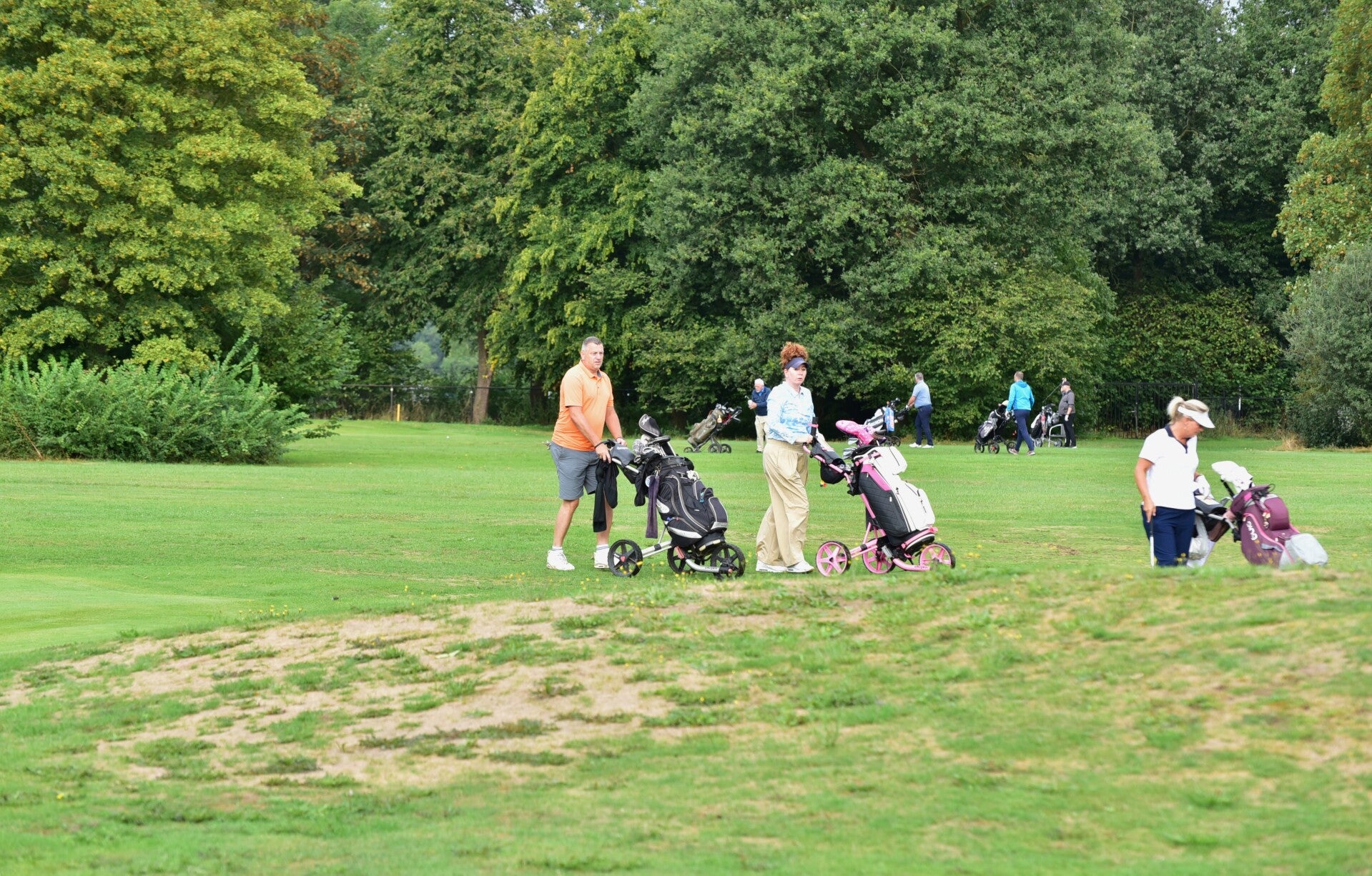 jwc_8475-standard-8qtdlg.jpg