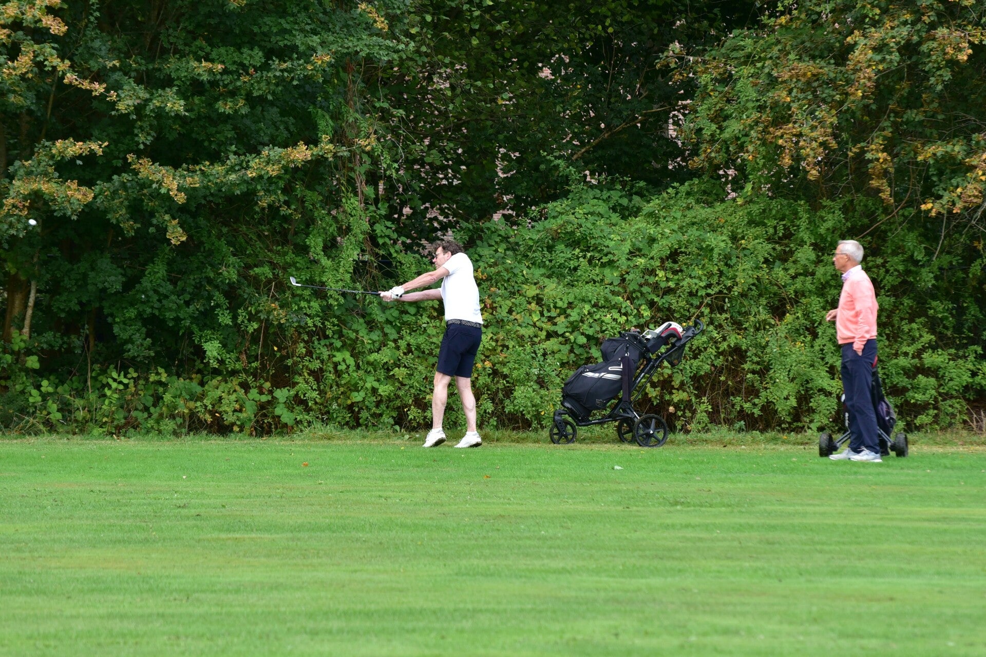 jwc_8532-standard-o6q9e5.jpg