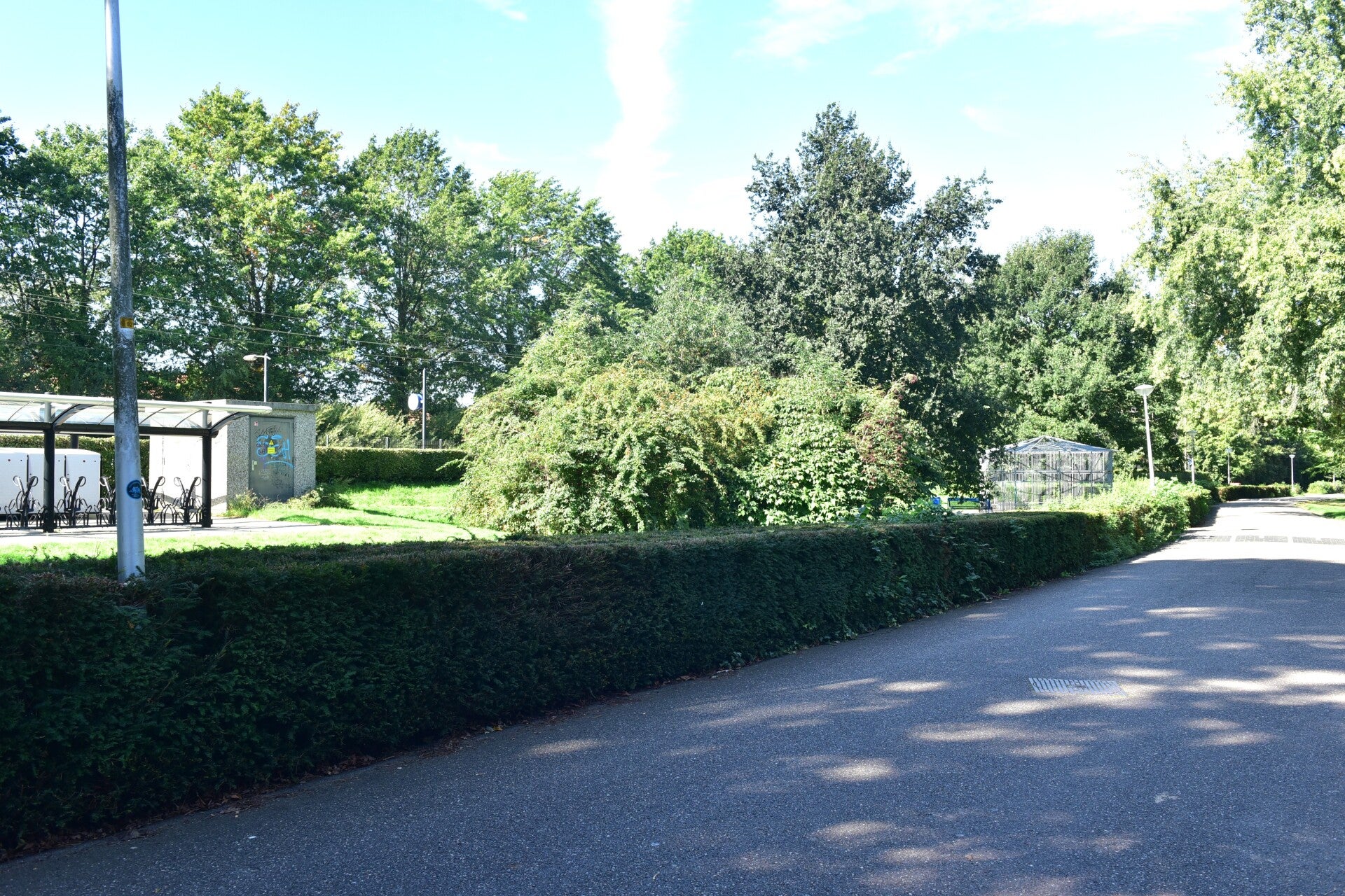 jwc_9641-standard-h9iy5m.jpg