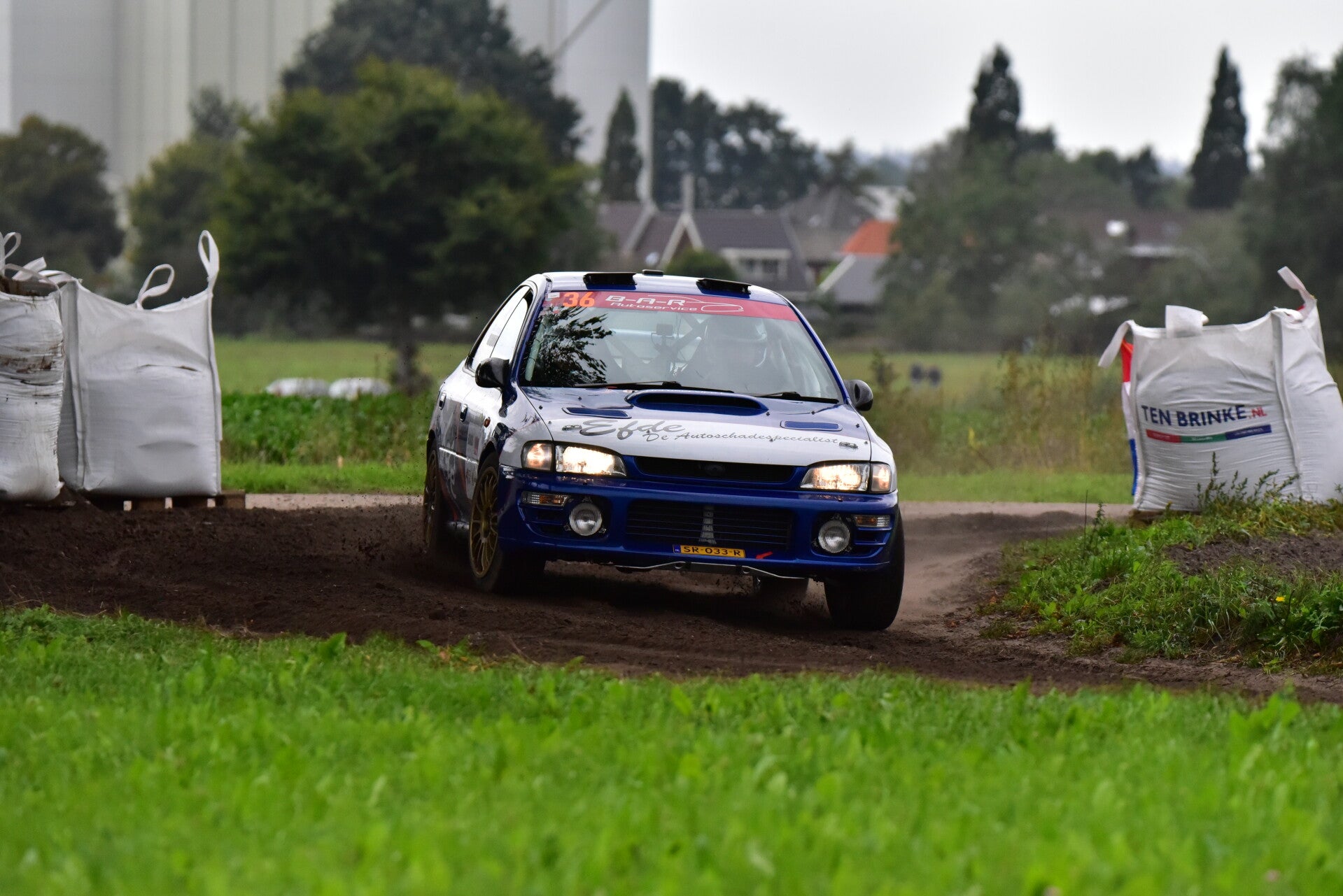 wee_0151-standard.jpg