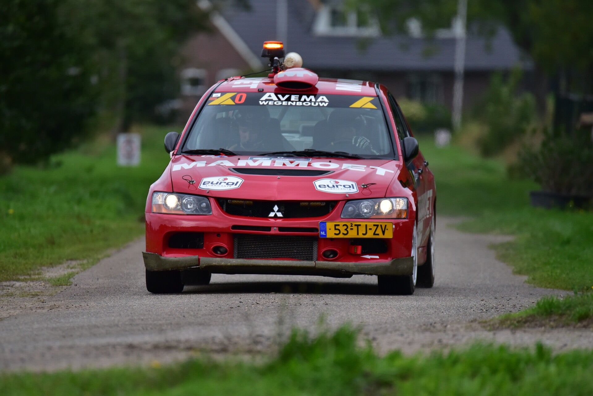 wee_9354-standard.jpg